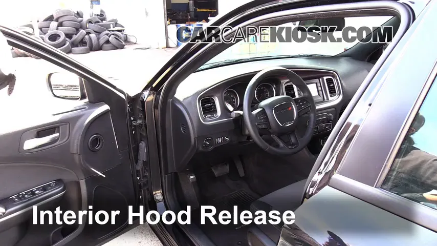 2015 Dodge Charger SE 3.6L V6 FlexFuel Hood